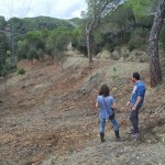 Treballs de prevenció forestal