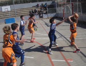 basquet