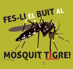 mosquit tigre imatge