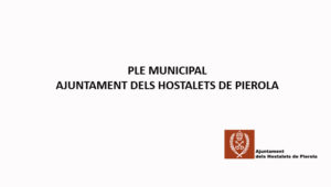 pantalla-previa-emisio-ple