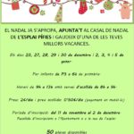 casal-de-nadal-16-infancia