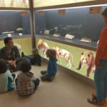 expo-una-finestra-al-mioce-i