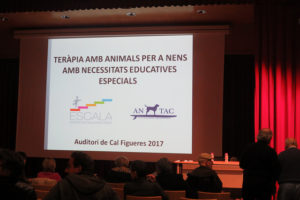 terapia animals