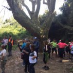 Participada celebració del Dia de l’Activitat Física