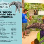 Paleontologia oberta durant la Setmana Santa