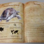 guia-infantil-mioce-crip1-1024×576