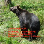 Conferència: L’ós bru als Pirineus