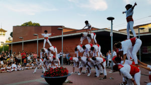 35972487661_c1606431e4_z