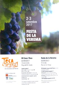 cava teca veremsa 17
