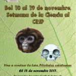 Laia setmana ciencia 17