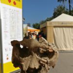 El Turisme Paleontològic destaca al Mercat d’Escapades
