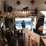 La ‘Nit dels Museus’ se celebra un any més al CRIP