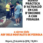 31 juliol. Sessió pràctica anti-incedis de l'ADF