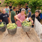Els Hostalets de Pierola: de la vinya a la taula