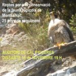 16 novembre. Conferència Gabriel Lampreave