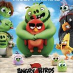 8 febrer. Cinema familiar amb Angry birds