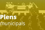 plens-municipals