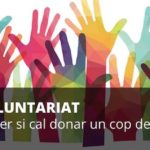 pvoluntariat