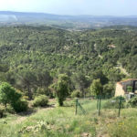 Manteniment a la franja dels Boscos de Can Martí