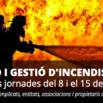 bnerjornadesincendis