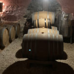 Visita al Celler de Can Grau Vell