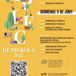 Aplec de Pierola 2022
