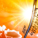 Com afrontar les onades de calor