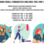 Treball i formació +52