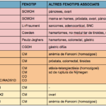 Captura de pantalla 2022-11-24 a les 12.16.00