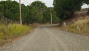 camíxipresos