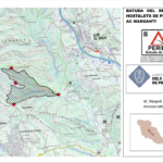 Captura de pantalla 2024-03-01 a les 16.42.07