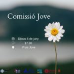 Comissió Jove