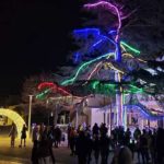 Encesa de llums de Nadal