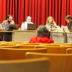 Ple 15 de gener 2025