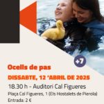 Cinexic: Ocells de pas