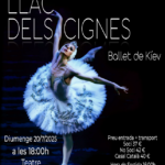 Sortida teatre: El llac dels signes