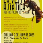 Xerrada: Vespa asiàtica