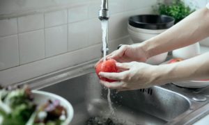 Seguretat alimentària