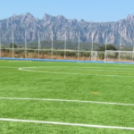 Gespa al camp de futbol