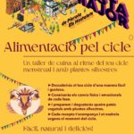 Alimentació pel cicle