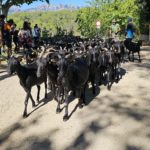 54026906557_6969813279_k