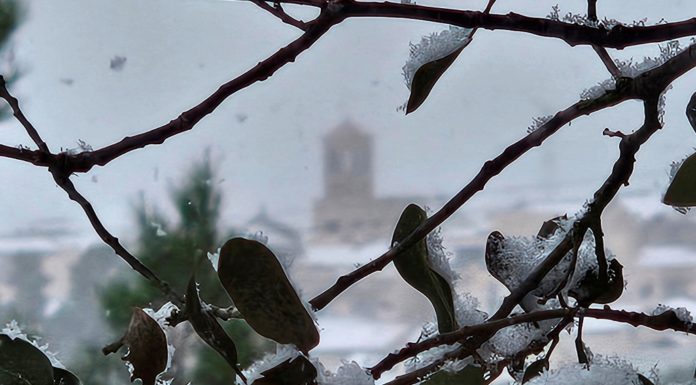 Els Reis arriben a la carpa