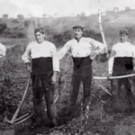 Cacics i rabassaires