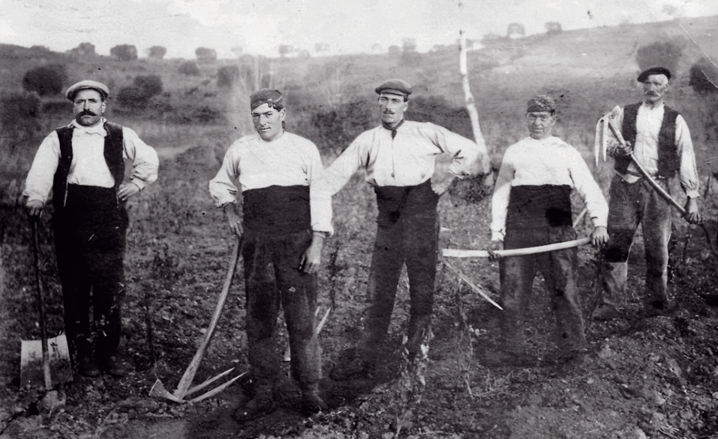 Cacics i rabassaires