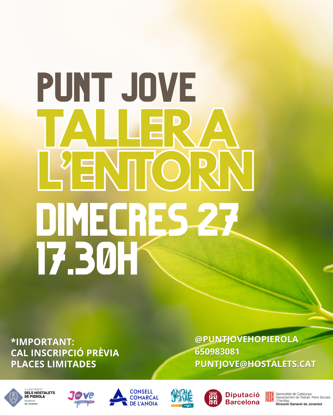 Taller a L'Entorn
