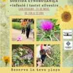Sortida Etnobotànica
