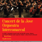 Concert de la Jove Orquestra Intercomarcal