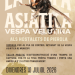 Xerrada vespa asiàtica