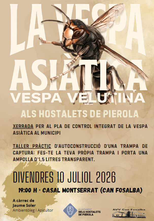 Xerrada vespa asiàtica