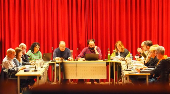 Ple de les ordenances